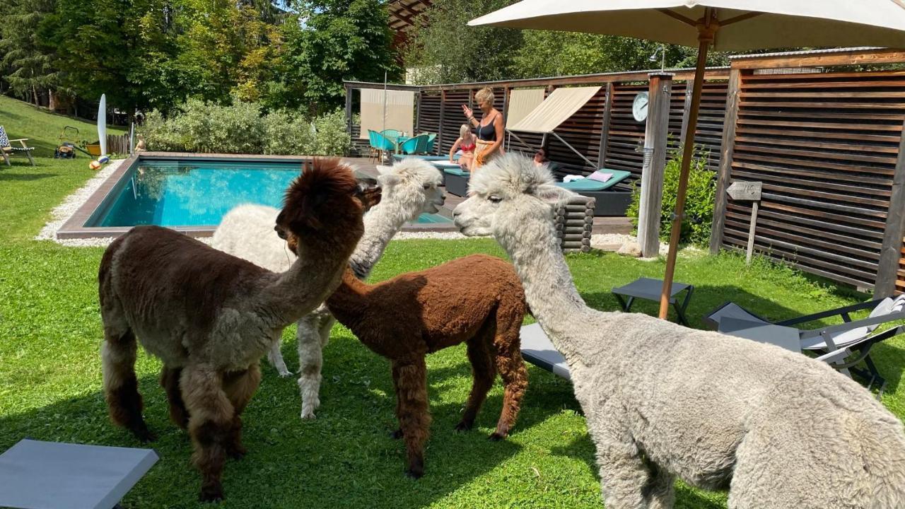 Dolomit Boutique Hotel La Villa  Eksteriør bilde